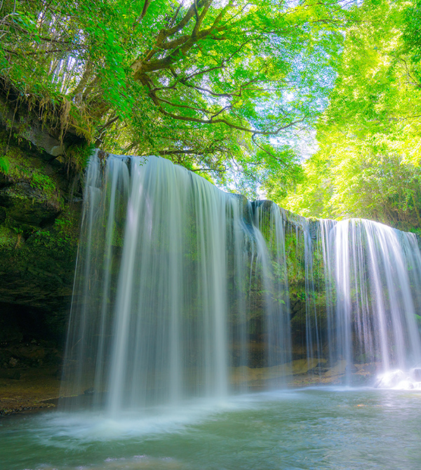 自然の風景